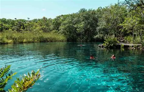 Excursion lagune bientôt disponible